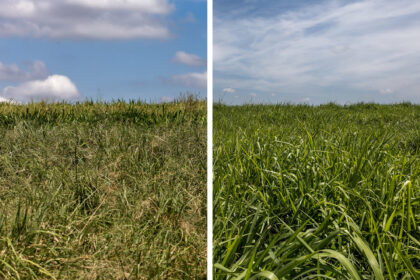 Qual a diferença entre o gás oxigênio é nitrogênio?