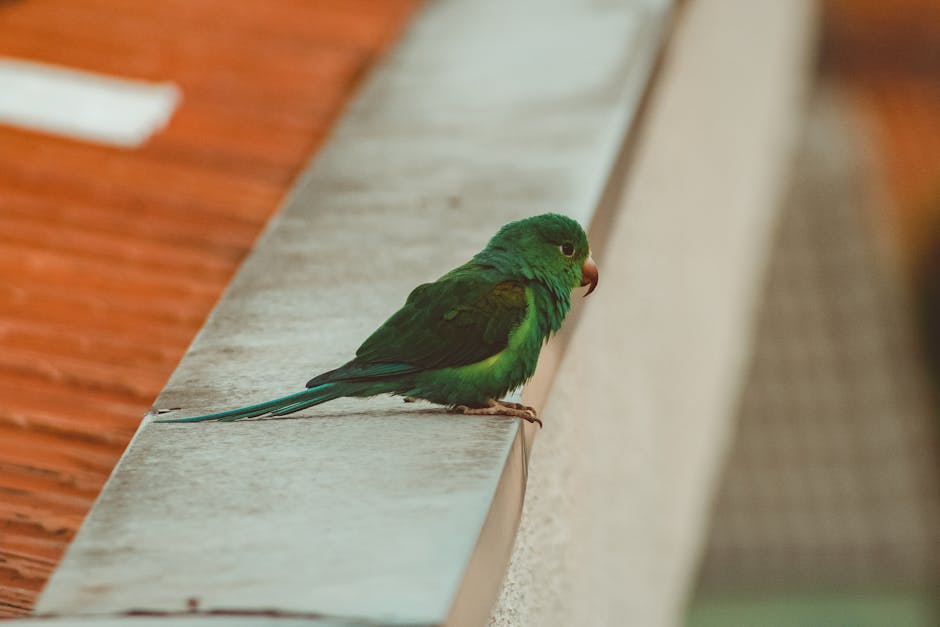 Qual é o único animal que não bebe água?